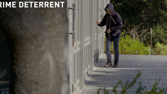 Screen Shot 2023-07-07 at 3.51.00 PM